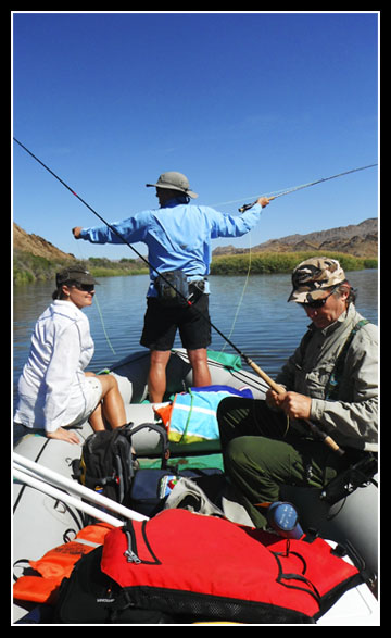 wilderness raft fly fishing orange river