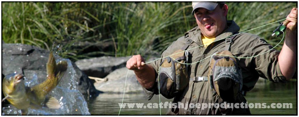 Yellowfish Studies & Articles | Minutes of Meetings and Proceedings of ...